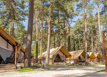 Glampingzelt für 4 Personen mit eigener Terrasse - 10