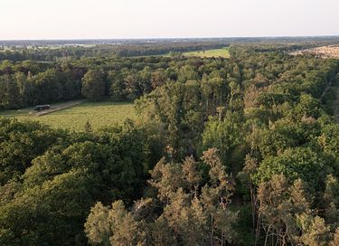 Off Grid Nature Cabin near Antwerp - 4