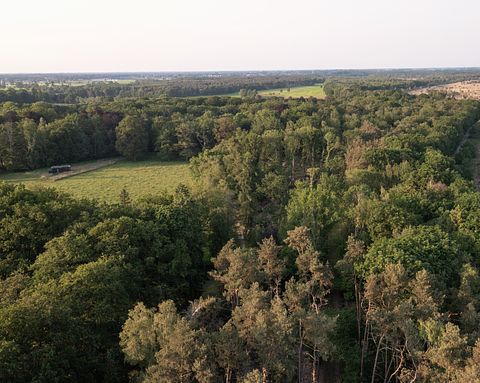 Off Grid Nature Cabin near Antwerp - 4