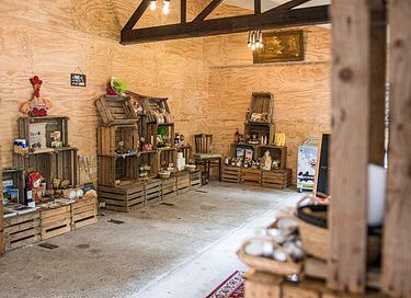 Tent cabin (sleeps 6) in the Groningen countryside - 33