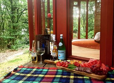 Glasjurte im Wald - 17