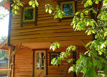 Maison dans la forêt en bois dans le Brabant-Septentrional - 11