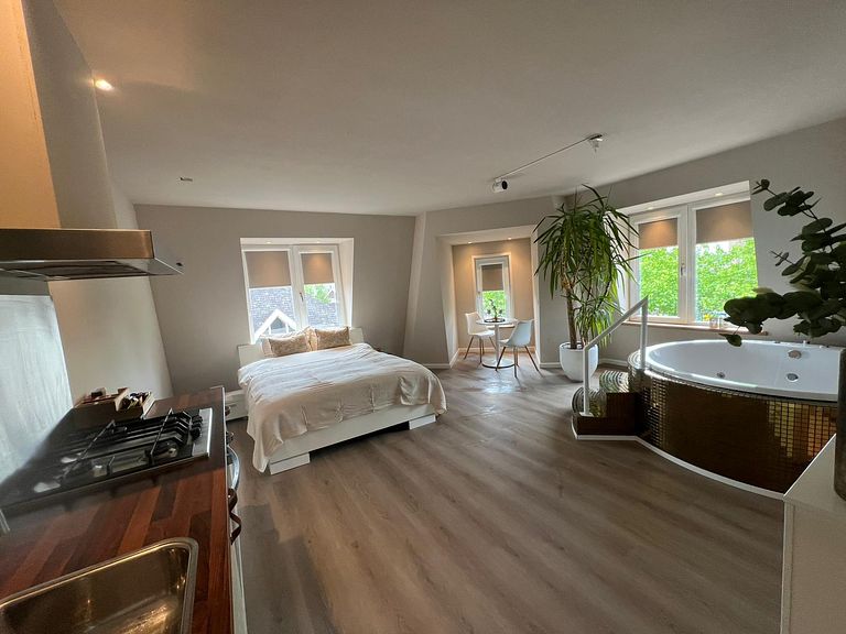Luxe privé spa met bad, bioscoop & sauna - 1