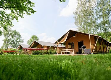 Tente safari (6p) près d'un lac dans le Limbourg - 4