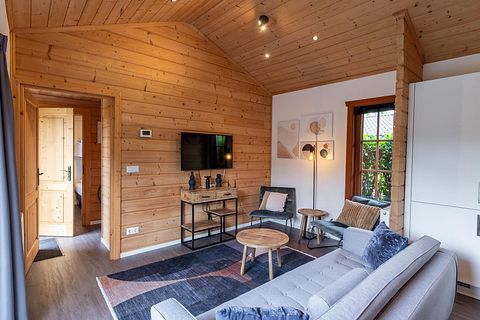 Wooden chalet near a natural lake - 4