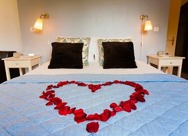 Gartenzimmer mit Outdoor-Salzwasserjacuzzi - 6
