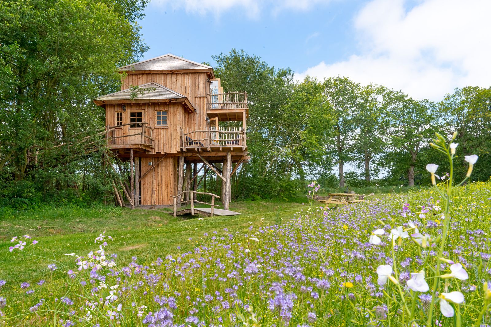 The most beautiful tree house in the Netherlands