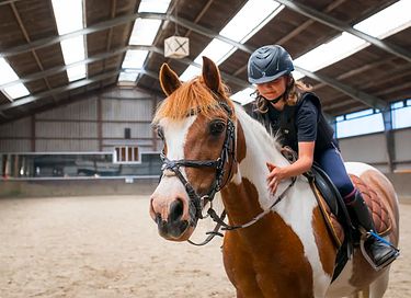  Glamping on horse farm near the coast - 11