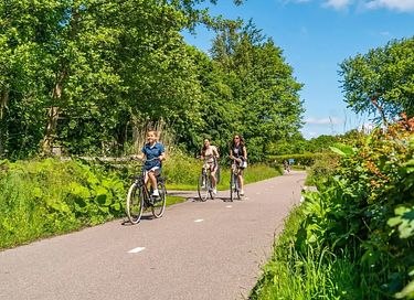 Gezellige 6-persoons bungalow op de Veluwe - 26