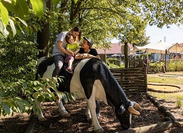 Vakantiehuis (6p) met overdekt terras  - 27