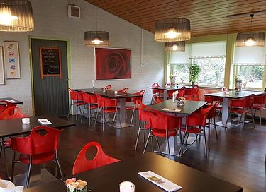 Geräumige Ferienwohnung in einem bewaldeten Gebiet - 20