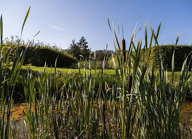 Logement de vacances Drenthe - 37