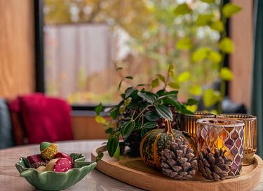 Nature cottage in Westerwolde (2p) - 28