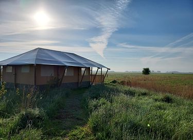 Glampingtent in Groningen met hottub - 6