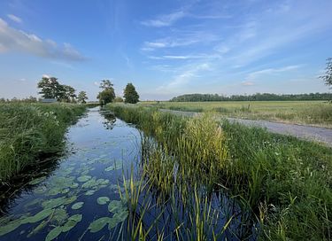 Historische boerderij nabij prachtig landgoed - 49