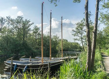 Vakantievilla in het bos met eigen sauna  - 16