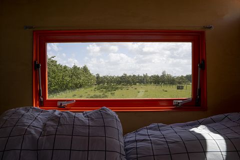 Vogels spotten vanuit je eigen hut - 5