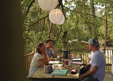 Boomhut Drenthe met groot terras - 3