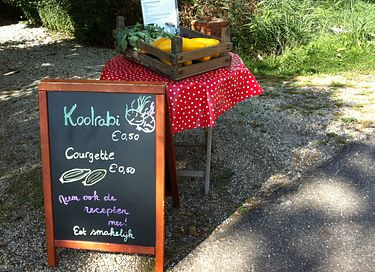 Glamping zwischen den Weiden in Groningen - 16