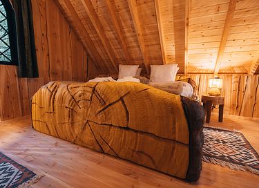 Treelodge avec sauna dans les Ardennes - 20