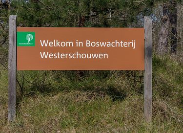 Leuk vakantiehuis op <500 meter van de zee - 26