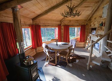 Prachtige boomhut in de Belgische natuur - 4