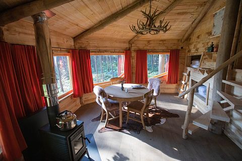 Prachtige boomhut in de Belgische natuur - 4