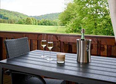 Ruim penthouse met privé wellness en balkon