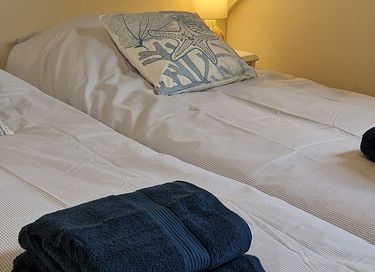 Wellness-Ferienhaus mit Whirlpool in Gelderland - 27