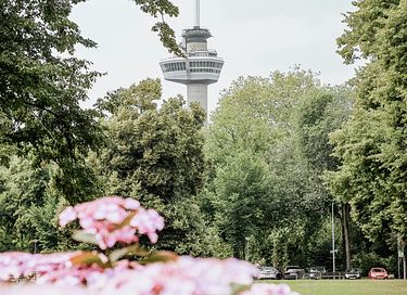 De hoogste hotelkamer van Nederland - 5