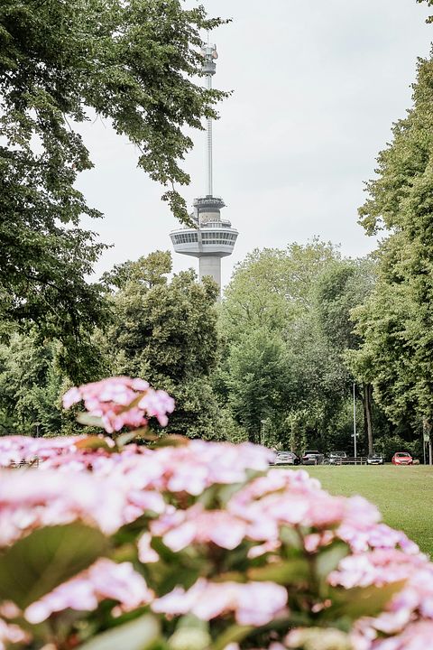 De hoogste hotelkamer van Nederland - 5