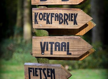 B&B in historischem Landhaus in Gelderland - 19