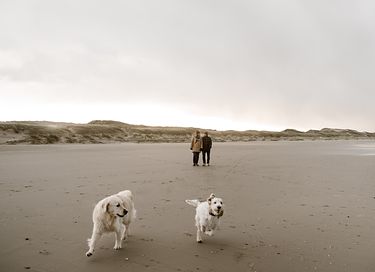 Hyggelig suite ved klitkanten, hund velkommen - 21