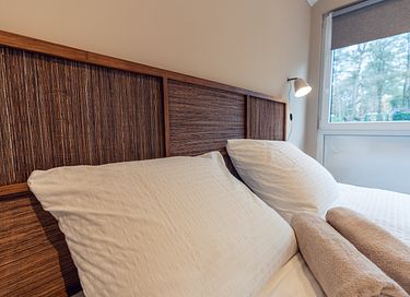 Gîte forestier avec bain à remous privé à Overijssel - 14