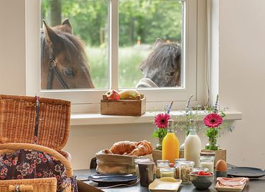 Sfeervolle B&B met uitzicht op paardenweide - 6
