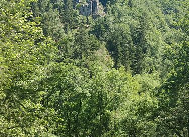 Panoramischer Aufenthalt im Glamping-Dom - 28