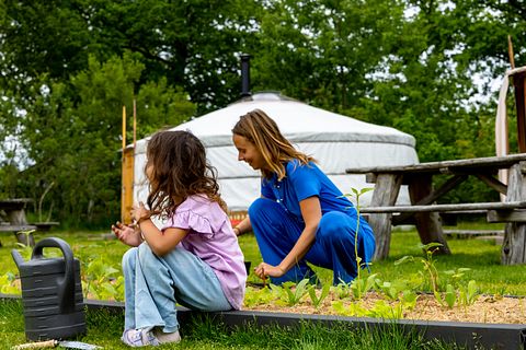 Authentic yurt with private bathroom - 2