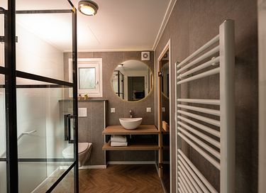 Wellness holiday home in Overijssel - 12
