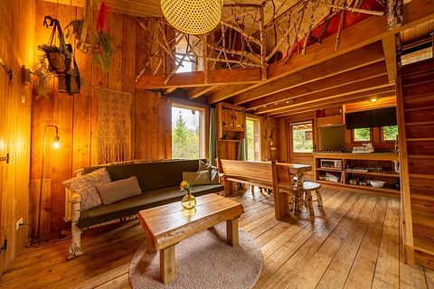 Ferienhaus in der Natur in einem bewaldeten Gebiet - 4