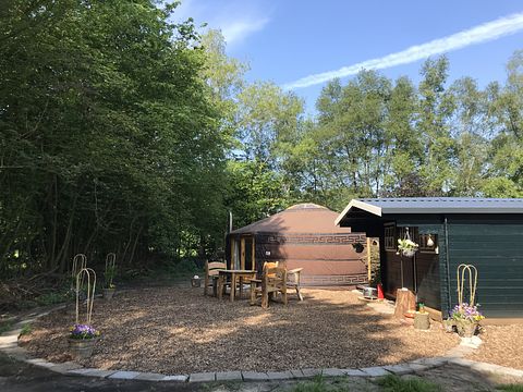 Knusse yurt vlakbij Drents natuurgebied - 2