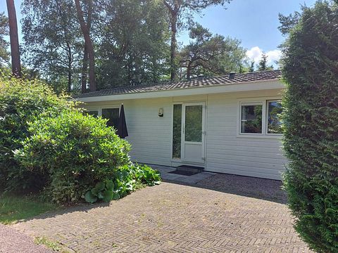 Vakantiehuis op de Veluwe (honden toegestaan) - 3