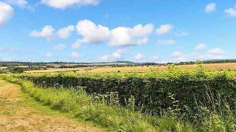 Comfortable holiday home (6p) in South Limburg - 3