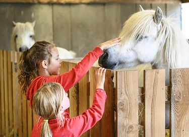  Glamping à la ferme à cheval et à poney - 8