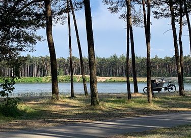 Ruim vakantiehuis in Veluwse bossen - 33
