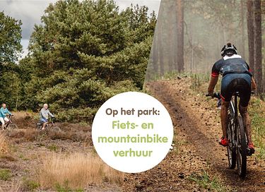 Tiny house met privétuin voor 4 personen - 13