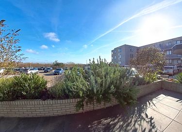 Appartement pour chiens à Texel - 12