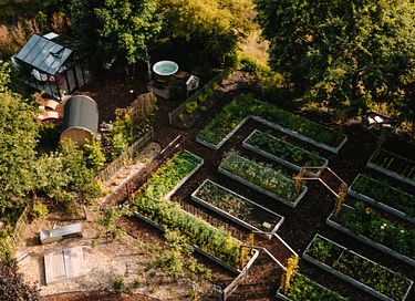 Maison dans la forêt avec jardin de bien-être privé - 19