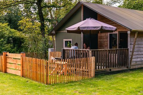 Unique stay in Drenthe (dogs allowed) - 2
