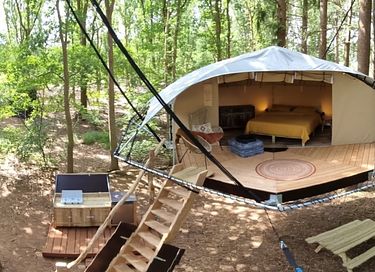 Unique glamping tent high among the trees - 2