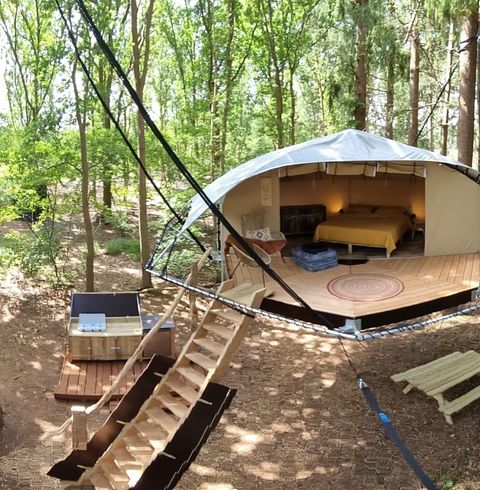 Unique glamping tent high among the trees - 2